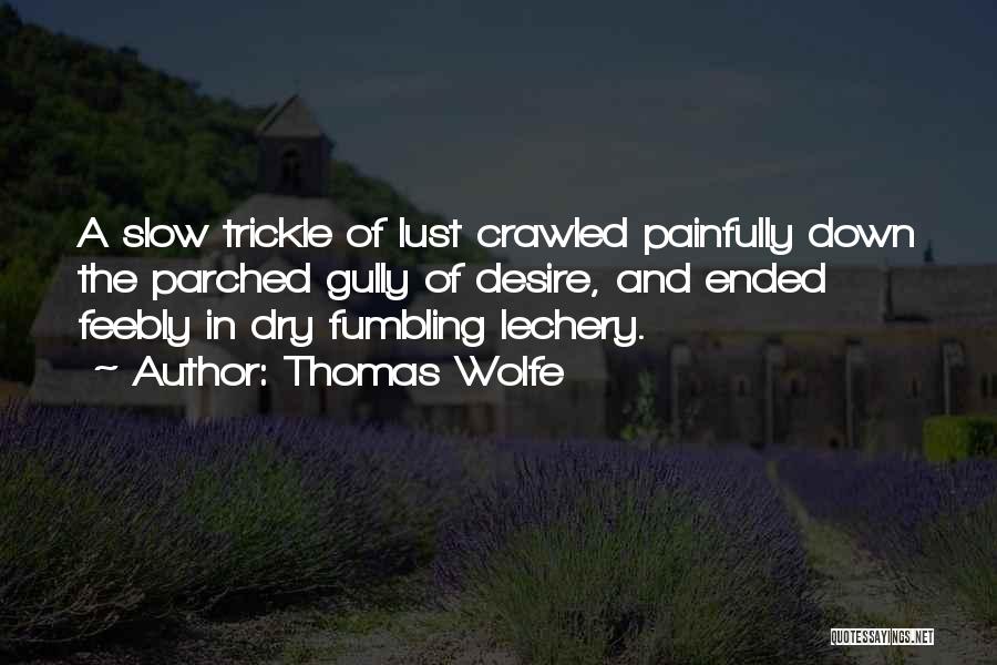 Thomas Wolfe Quotes: A Slow Trickle Of Lust Crawled Painfully Down The Parched Gully Of Desire, And Ended Feebly In Dry Fumbling Lechery.