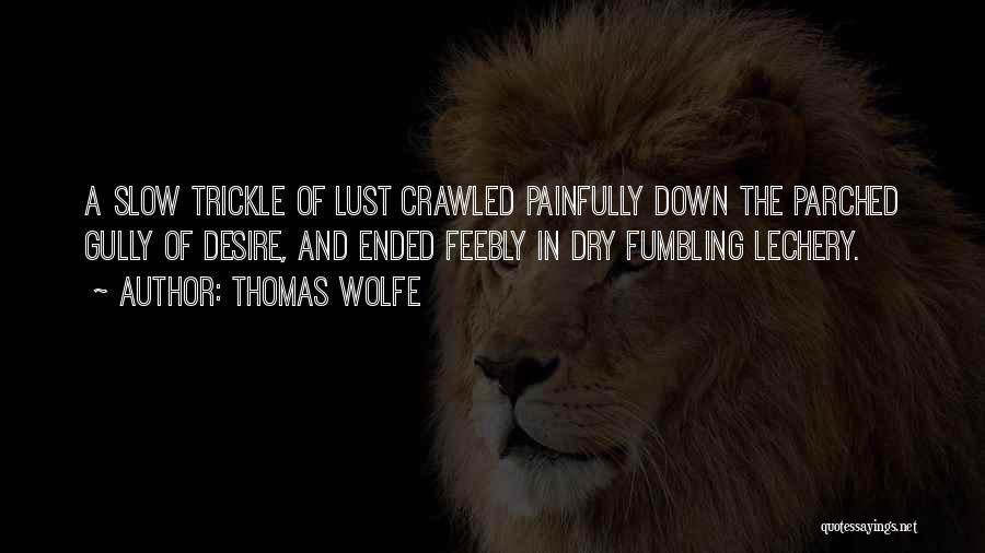 Thomas Wolfe Quotes: A Slow Trickle Of Lust Crawled Painfully Down The Parched Gully Of Desire, And Ended Feebly In Dry Fumbling Lechery.