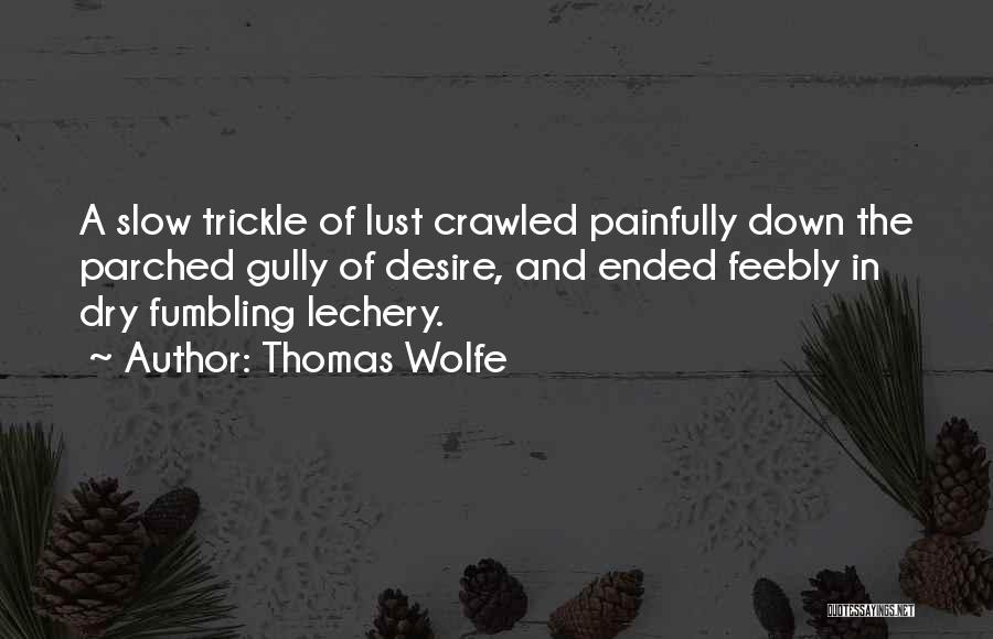 Thomas Wolfe Quotes: A Slow Trickle Of Lust Crawled Painfully Down The Parched Gully Of Desire, And Ended Feebly In Dry Fumbling Lechery.