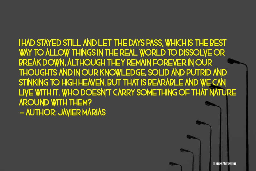 Javier Marias Quotes: I Had Stayed Still And Let The Days Pass, Which Is The Best Way To Allow Things In The Real