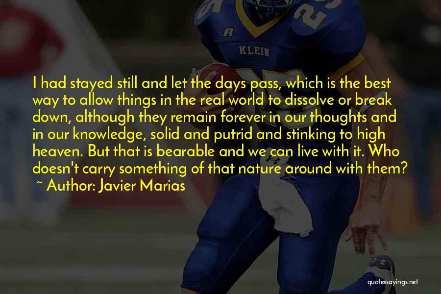 Javier Marias Quotes: I Had Stayed Still And Let The Days Pass, Which Is The Best Way To Allow Things In The Real