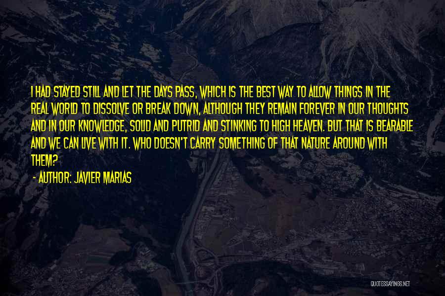 Javier Marias Quotes: I Had Stayed Still And Let The Days Pass, Which Is The Best Way To Allow Things In The Real