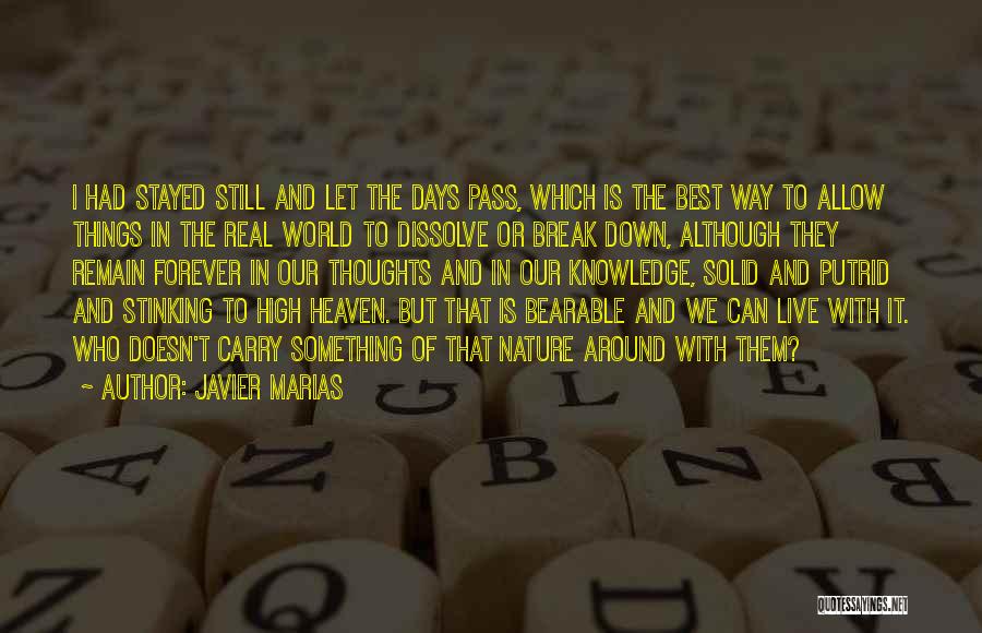 Javier Marias Quotes: I Had Stayed Still And Let The Days Pass, Which Is The Best Way To Allow Things In The Real