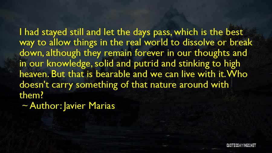 Javier Marias Quotes: I Had Stayed Still And Let The Days Pass, Which Is The Best Way To Allow Things In The Real