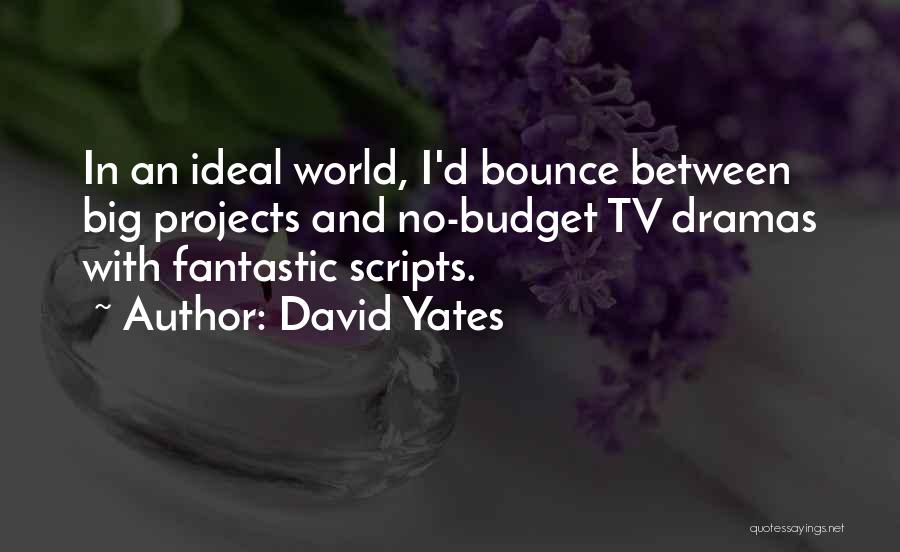 David Yates Quotes: In An Ideal World, I'd Bounce Between Big Projects And No-budget Tv Dramas With Fantastic Scripts.