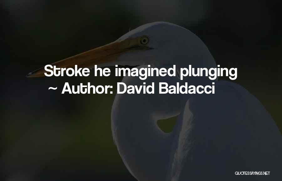 David Baldacci Quotes: Stroke He Imagined Plunging
