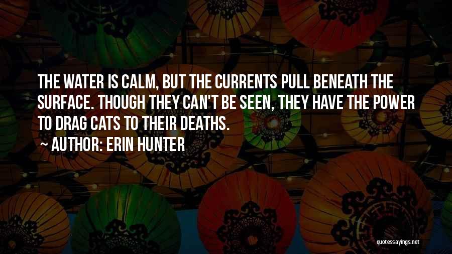 Erin Hunter Quotes: The Water Is Calm, But The Currents Pull Beneath The Surface. Though They Can't Be Seen, They Have The Power