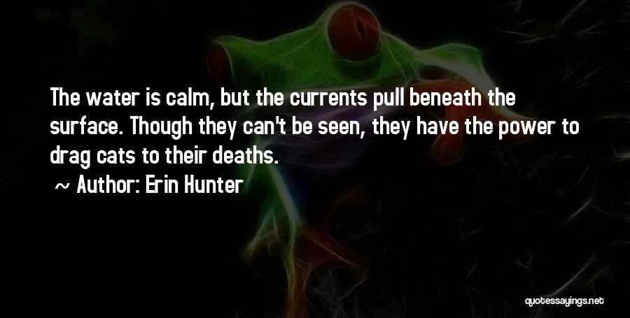 Erin Hunter Quotes: The Water Is Calm, But The Currents Pull Beneath The Surface. Though They Can't Be Seen, They Have The Power