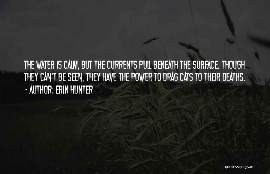 Erin Hunter Quotes: The Water Is Calm, But The Currents Pull Beneath The Surface. Though They Can't Be Seen, They Have The Power