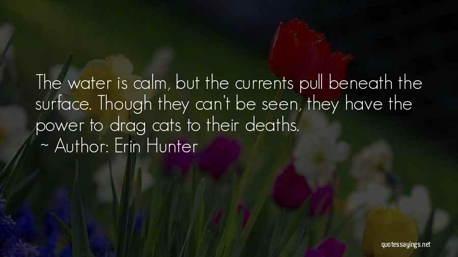 Erin Hunter Quotes: The Water Is Calm, But The Currents Pull Beneath The Surface. Though They Can't Be Seen, They Have The Power