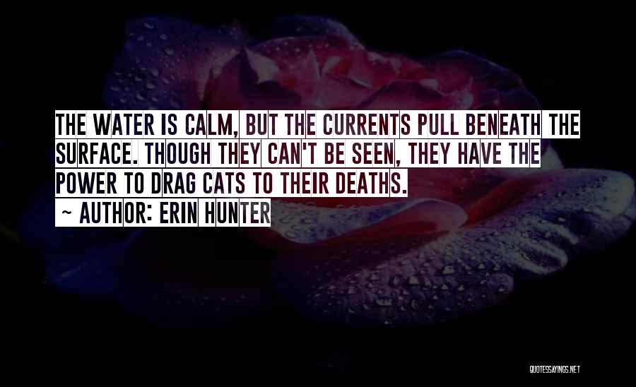 Erin Hunter Quotes: The Water Is Calm, But The Currents Pull Beneath The Surface. Though They Can't Be Seen, They Have The Power