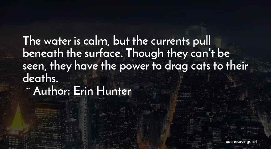 Erin Hunter Quotes: The Water Is Calm, But The Currents Pull Beneath The Surface. Though They Can't Be Seen, They Have The Power