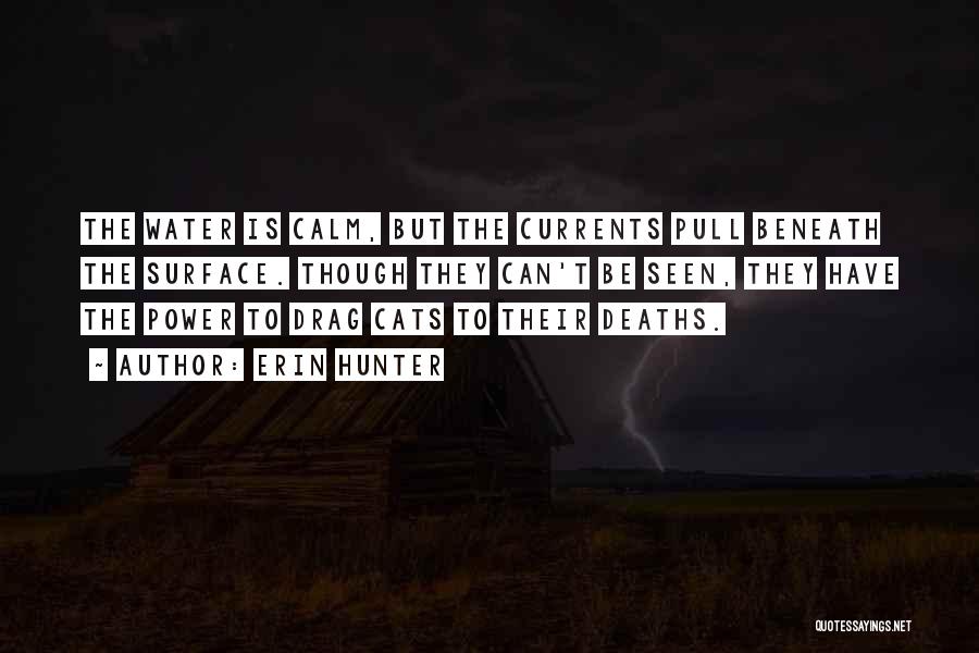Erin Hunter Quotes: The Water Is Calm, But The Currents Pull Beneath The Surface. Though They Can't Be Seen, They Have The Power