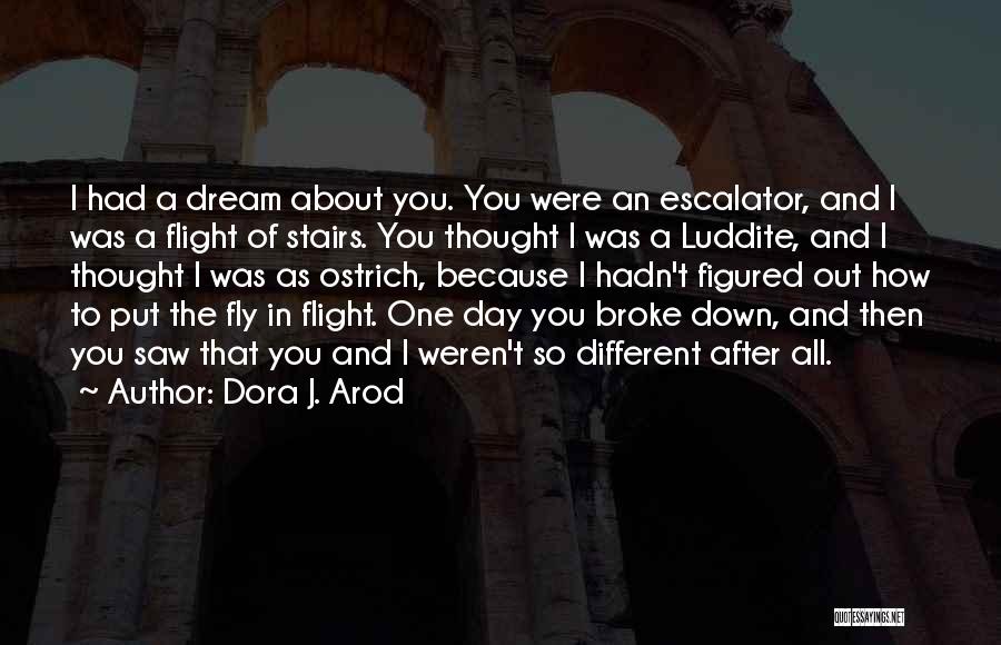 Dora J. Arod Quotes: I Had A Dream About You. You Were An Escalator, And I Was A Flight Of Stairs. You Thought I