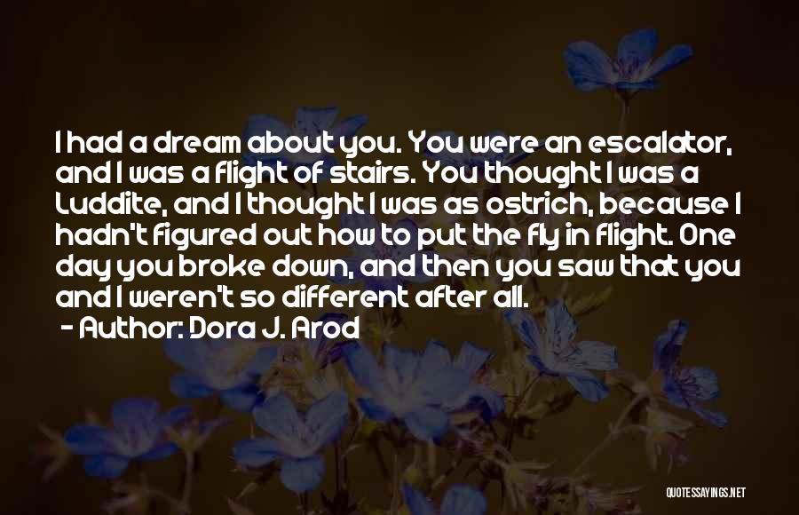 Dora J. Arod Quotes: I Had A Dream About You. You Were An Escalator, And I Was A Flight Of Stairs. You Thought I