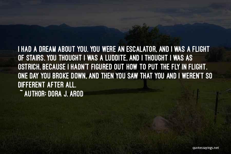 Dora J. Arod Quotes: I Had A Dream About You. You Were An Escalator, And I Was A Flight Of Stairs. You Thought I