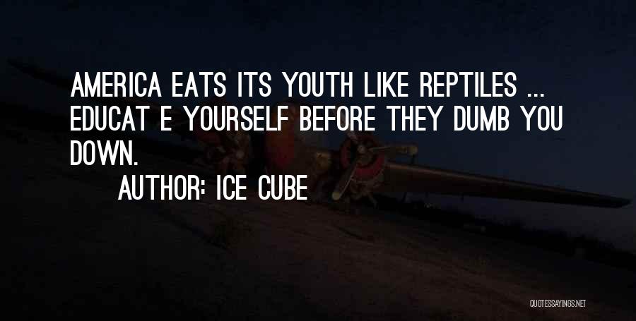 Ice Cube Quotes: America Eats Its Youth Like Reptiles ... Educat E Yourself Before They Dumb You Down.