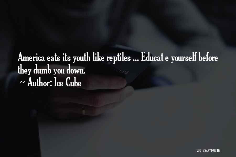 Ice Cube Quotes: America Eats Its Youth Like Reptiles ... Educat E Yourself Before They Dumb You Down.