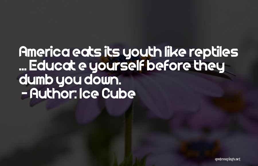 Ice Cube Quotes: America Eats Its Youth Like Reptiles ... Educat E Yourself Before They Dumb You Down.