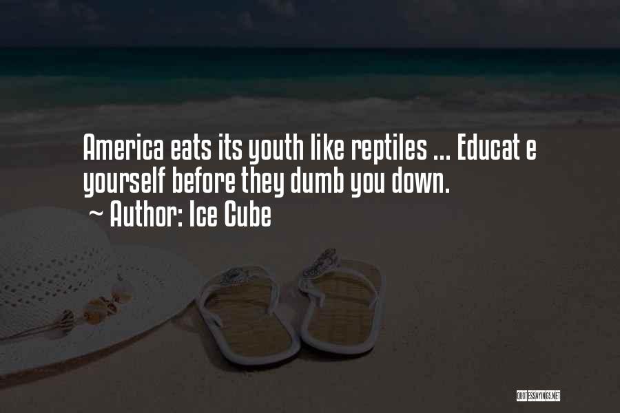 Ice Cube Quotes: America Eats Its Youth Like Reptiles ... Educat E Yourself Before They Dumb You Down.