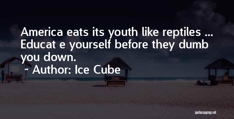 Ice Cube Quotes: America Eats Its Youth Like Reptiles ... Educat E Yourself Before They Dumb You Down.