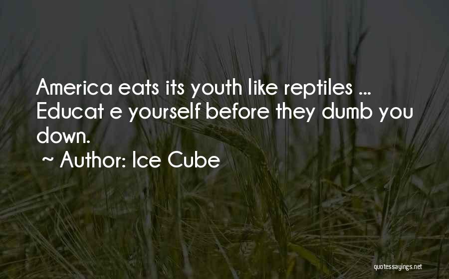 Ice Cube Quotes: America Eats Its Youth Like Reptiles ... Educat E Yourself Before They Dumb You Down.