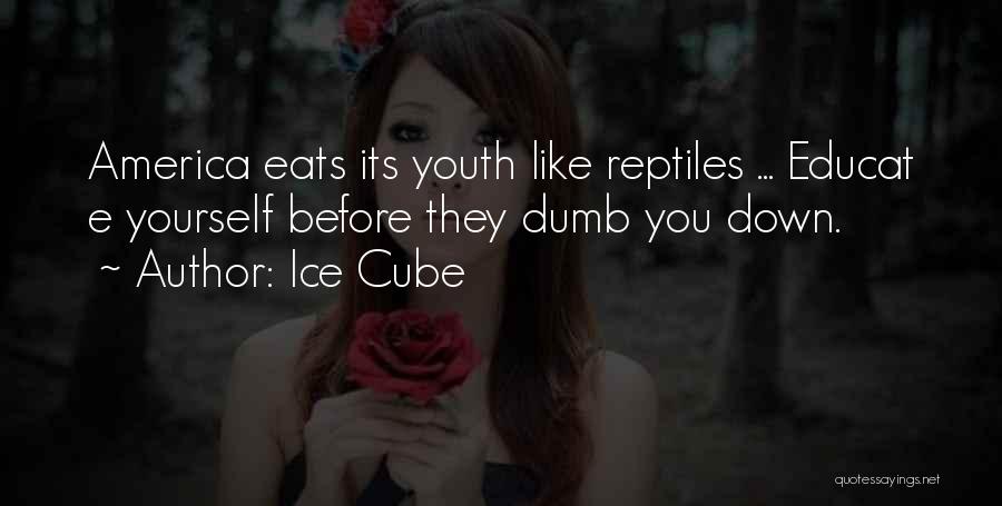 Ice Cube Quotes: America Eats Its Youth Like Reptiles ... Educat E Yourself Before They Dumb You Down.