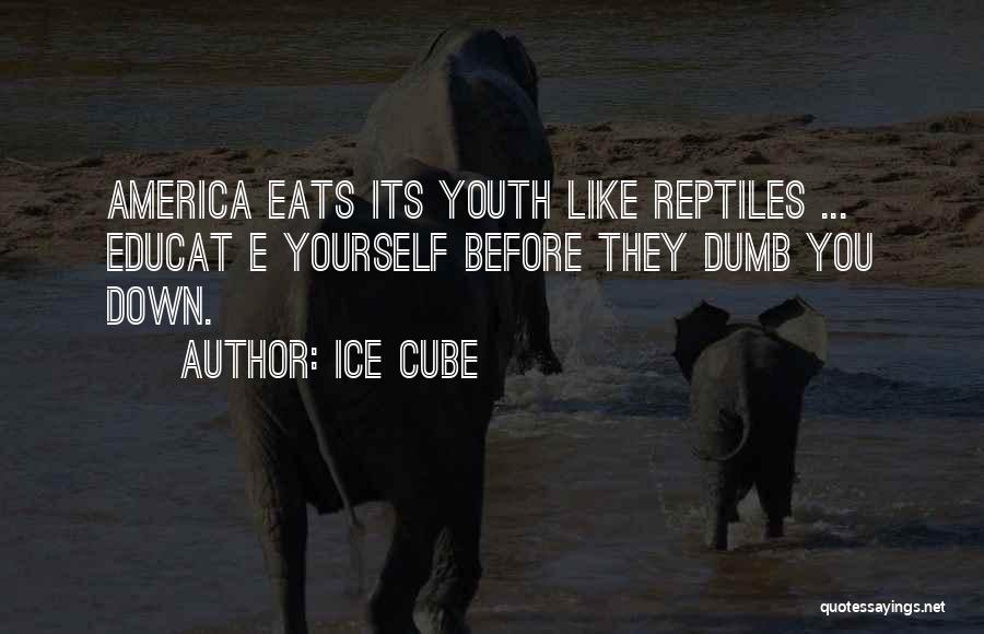 Ice Cube Quotes: America Eats Its Youth Like Reptiles ... Educat E Yourself Before They Dumb You Down.