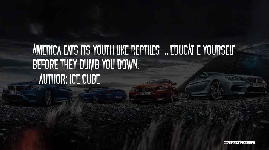 Ice Cube Quotes: America Eats Its Youth Like Reptiles ... Educat E Yourself Before They Dumb You Down.