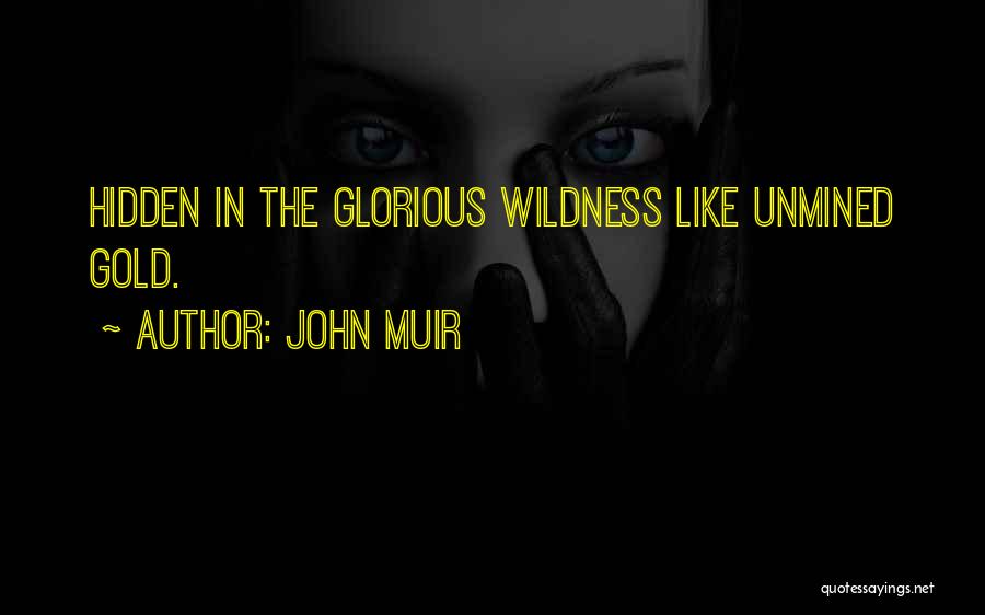 John Muir Quotes: Hidden In The Glorious Wildness Like Unmined Gold.