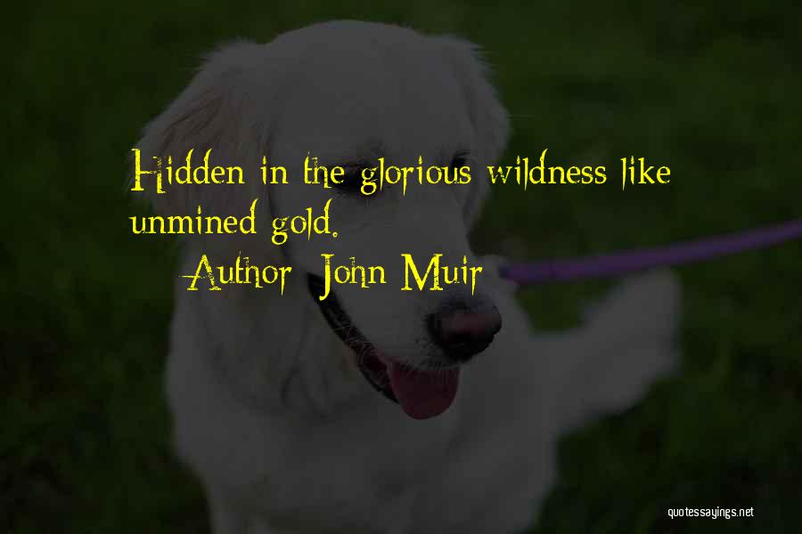 John Muir Quotes: Hidden In The Glorious Wildness Like Unmined Gold.