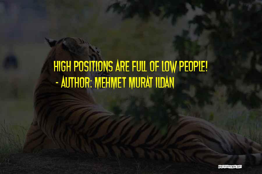 Mehmet Murat Ildan Quotes: High Positions Are Full Of Low People!