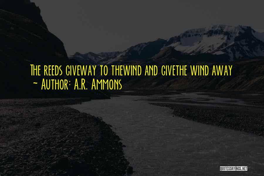 A.R. Ammons Quotes: The Reeds Giveway To Thewind And Givethe Wind Away