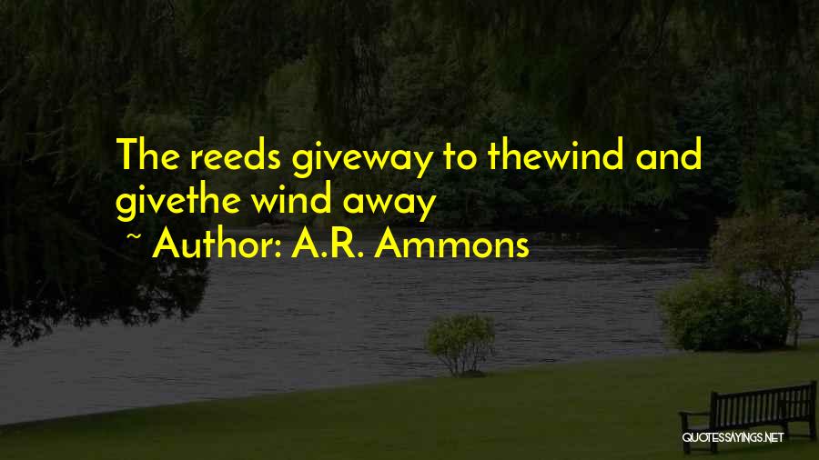 A.R. Ammons Quotes: The Reeds Giveway To Thewind And Givethe Wind Away