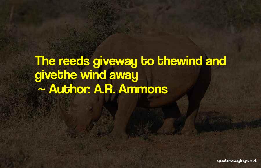 A.R. Ammons Quotes: The Reeds Giveway To Thewind And Givethe Wind Away