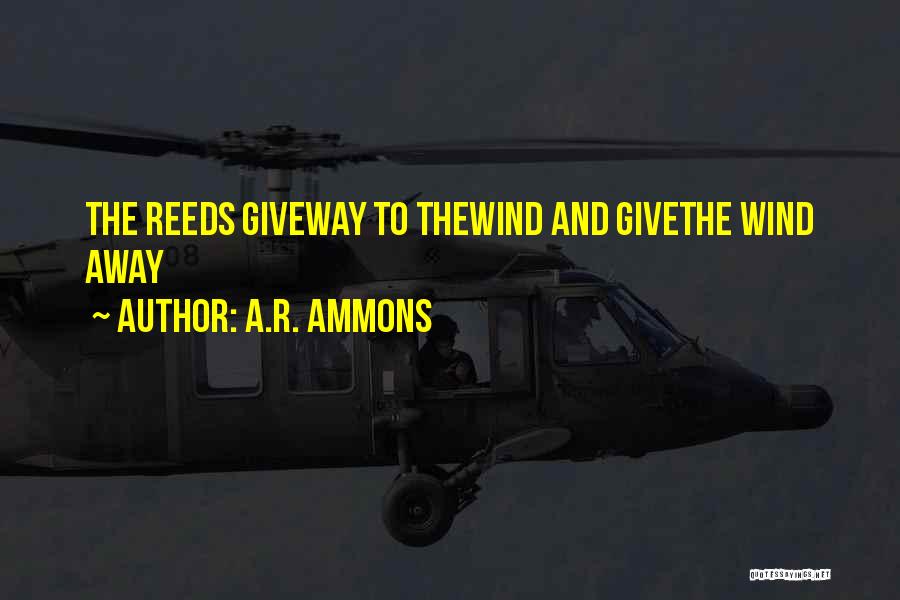 A.R. Ammons Quotes: The Reeds Giveway To Thewind And Givethe Wind Away