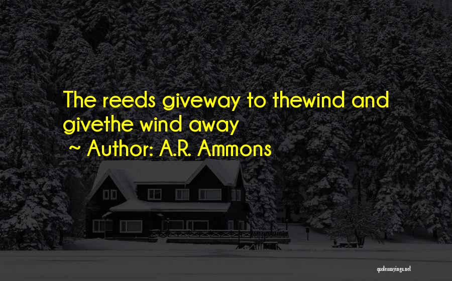 A.R. Ammons Quotes: The Reeds Giveway To Thewind And Givethe Wind Away