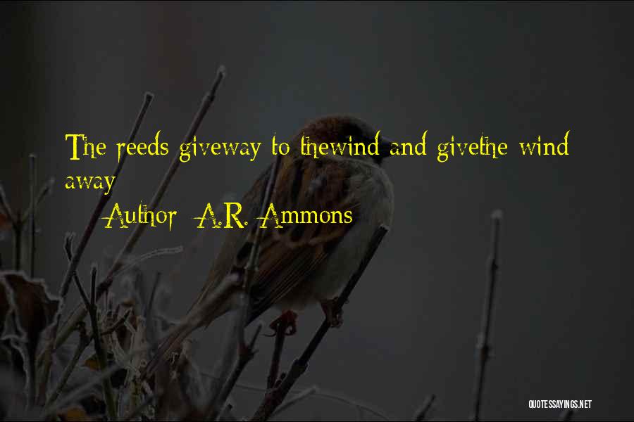 A.R. Ammons Quotes: The Reeds Giveway To Thewind And Givethe Wind Away