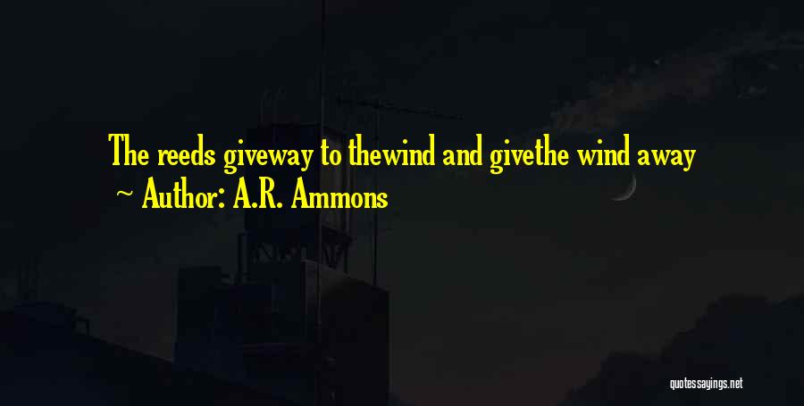 A.R. Ammons Quotes: The Reeds Giveway To Thewind And Givethe Wind Away