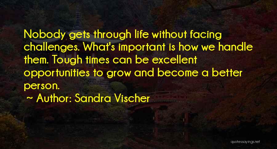 Sandra Vischer Quotes: Nobody Gets Through Life Without Facing Challenges. What's Important Is How We Handle Them. Tough Times Can Be Excellent Opportunities