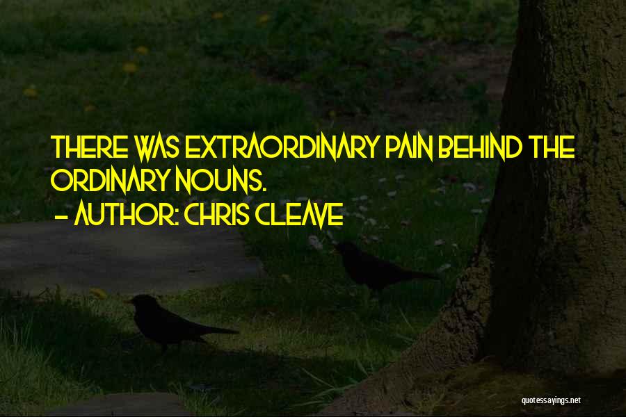 Chris Cleave Quotes: There Was Extraordinary Pain Behind The Ordinary Nouns.