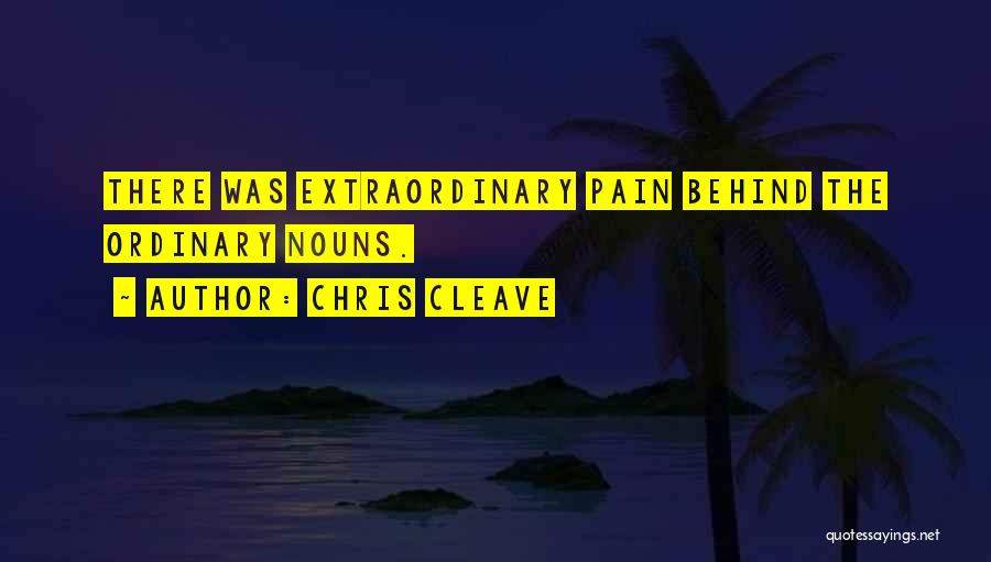 Chris Cleave Quotes: There Was Extraordinary Pain Behind The Ordinary Nouns.