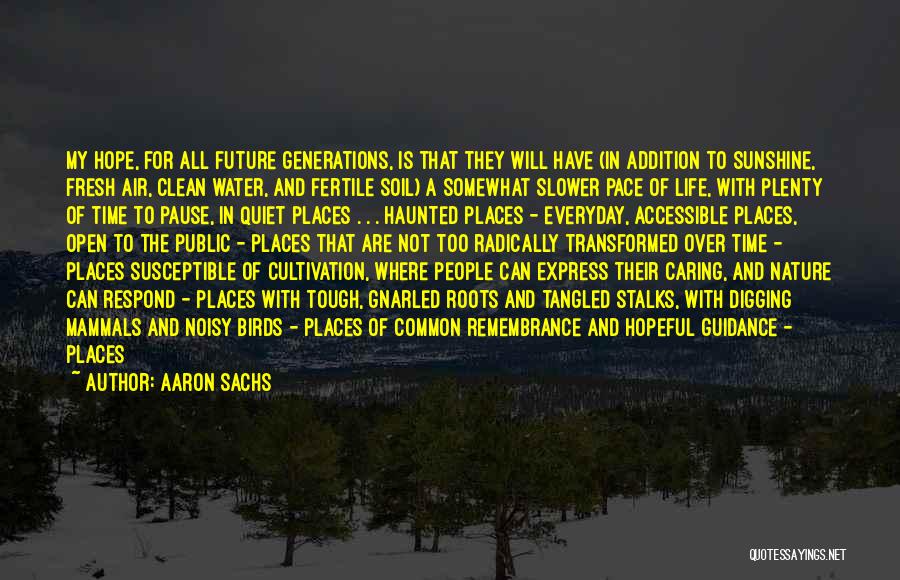 Aaron Sachs Quotes: My Hope, For All Future Generations, Is That They Will Have (in Addition To Sunshine, Fresh Air, Clean Water, And