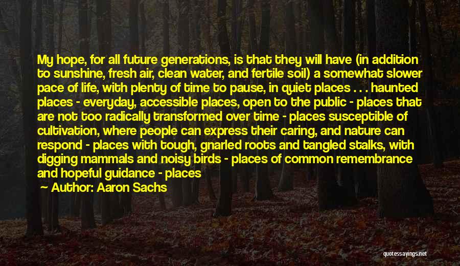 Aaron Sachs Quotes: My Hope, For All Future Generations, Is That They Will Have (in Addition To Sunshine, Fresh Air, Clean Water, And