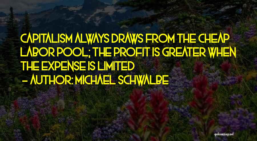 Michael Schwalbe Quotes: Capitalism Always Draws From The Cheap Labor Pool; The Profit Is Greater When The Expense Is Limited