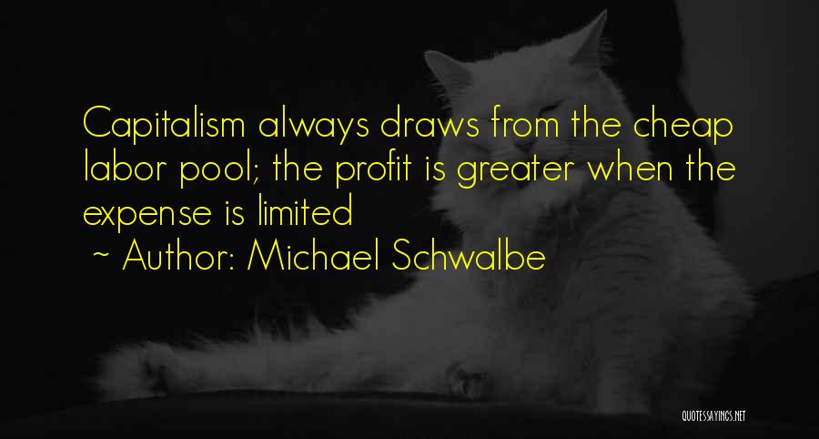 Michael Schwalbe Quotes: Capitalism Always Draws From The Cheap Labor Pool; The Profit Is Greater When The Expense Is Limited