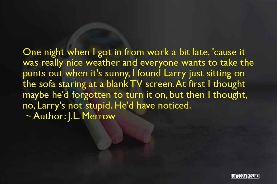 J.L. Merrow Quotes: One Night When I Got In From Work A Bit Late, 'cause It Was Really Nice Weather And Everyone Wants