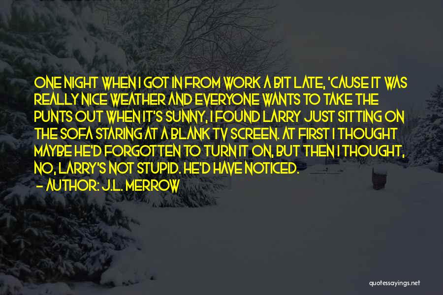 J.L. Merrow Quotes: One Night When I Got In From Work A Bit Late, 'cause It Was Really Nice Weather And Everyone Wants
