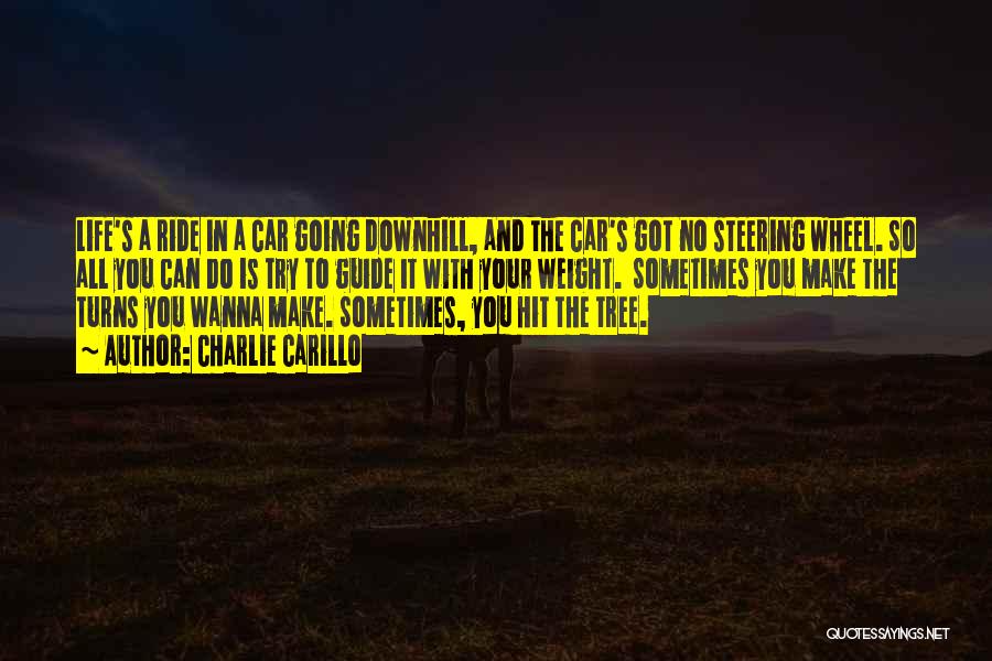 Charlie Carillo Quotes: Life's A Ride In A Car Going Downhill, And The Car's Got No Steering Wheel. So All You Can Do