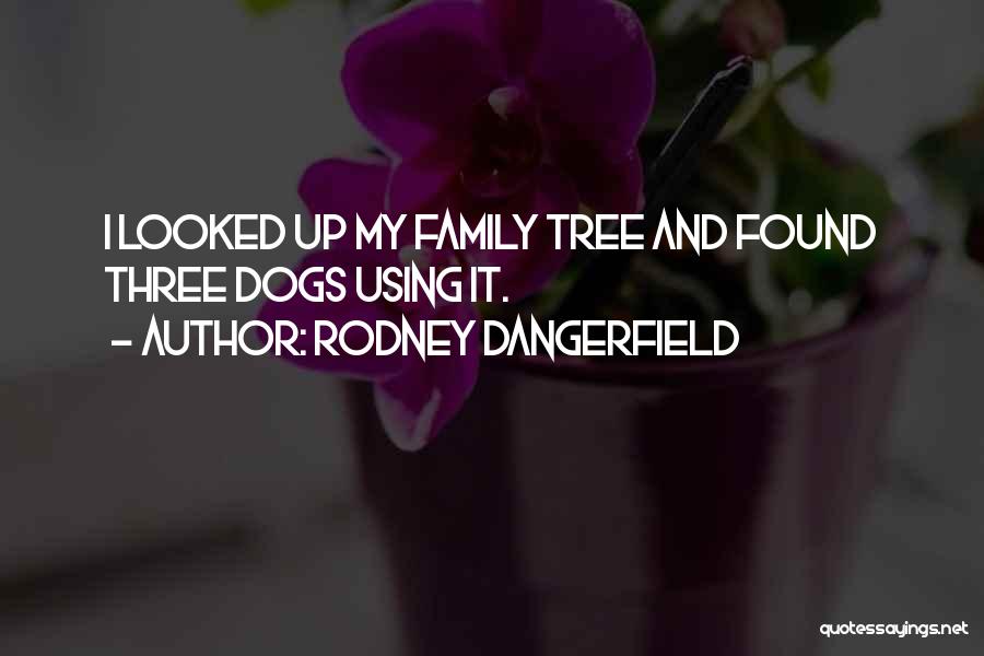 Rodney Dangerfield Quotes: I Looked Up My Family Tree And Found Three Dogs Using It.